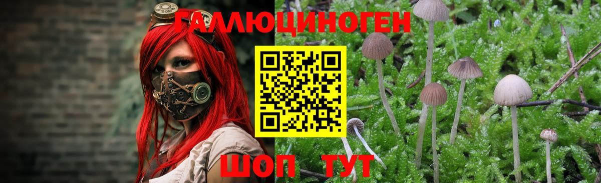 Галлюциногенные грибы Cubensis  Галлюциногенные грибы Magic Shrooms  Мелеуз  Вход с VPN 